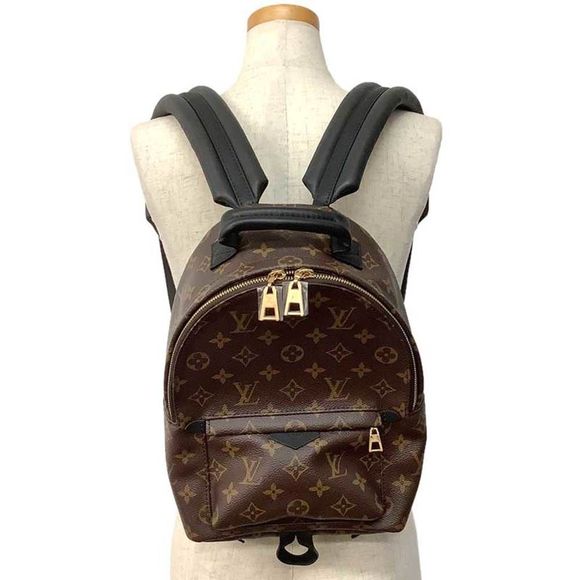 Louis Vuitton Palm Springs Backpack PM Monogram - Picture 5 of 8